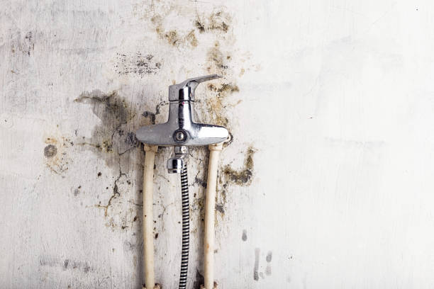 Best Mold Testing  in Fairview, NY