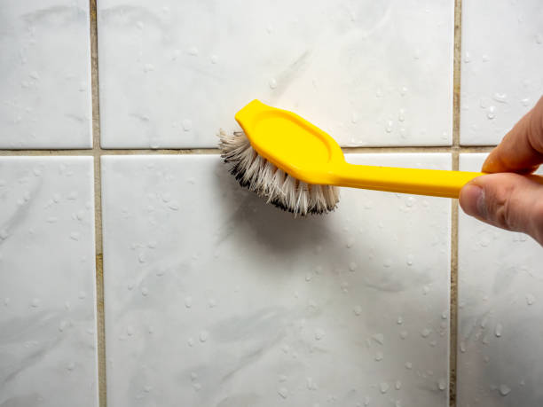 Best Attic Mold Removal  in Fairview, NY