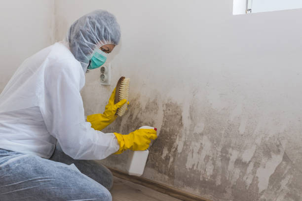 Water Damage Restoration in Fairview, NY