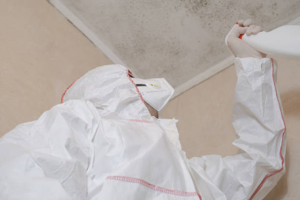 Best Mold Testing and Removal  in Fairview, NY