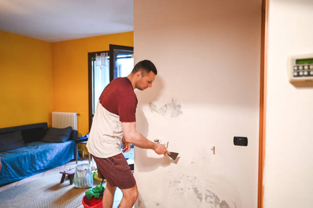 Best Black Mold Removal  in Fairview, NY