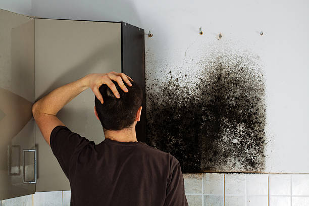 Best Office Mold Removal Services  in Fairview, NY